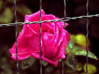 ba sdagat bgid az esghe